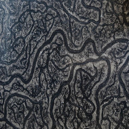 Мрамор CERVELLO NERO (полированный, 20 мм, слэб)